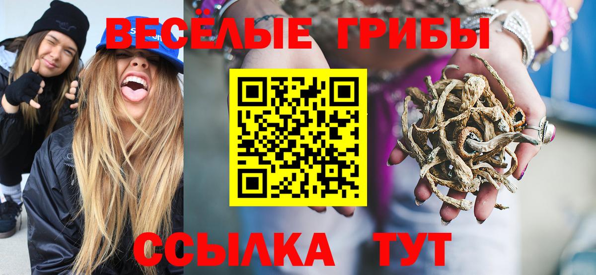 ГАШИШ Томск