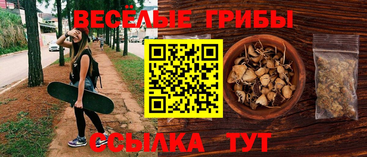 Томск  Псилоцибиновые грибы Cubensis  Вход с VPN  Псилоцибиновые грибы Psilocybe 